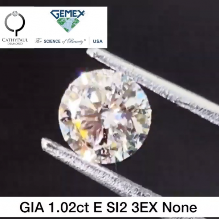 1.02ct E SI2