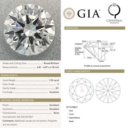 1.20ct F SI2