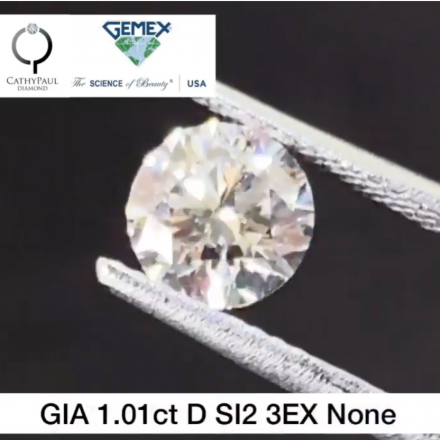 1.01ct D SI2