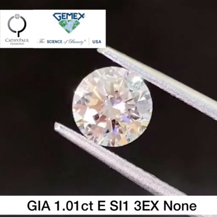 1.01ct E SI1